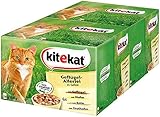 Kitekat Katzenfutter Geflügel-Allerlei in Gelee, 48 Beutel (2 x 24 x 100...