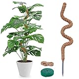 Moosstab für Monstera - 120cm Biegsame Pflanzenstütze für Indoor,...