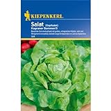 Salatsamen - Kopfsalat Kagraner Sommer 3 von Kiepenkerl