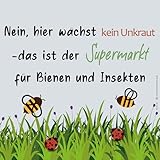 Gartenschild Supermarkt für Bienen und Insekten, Blumenwiese, 30x30 cm,...