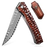 DRAGON RIOT Damast Taschenmesser, Hochwertig Klappmesser mit Leder Scheide...