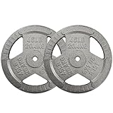 Aurorafy 2,5 cm Standard-Hantelscheibe aus Gusseisen, 20,4 kg, für...