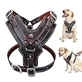 Wishdeal Hundegeschirr aus Echtem Leder langlebig Verstellbar für Große...