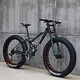 Nationalr Reeim Mountainbike, 26 Zoll (66 cm), Mjh-01, Erwachsene, Fat tire...