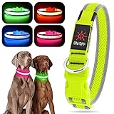 YFbrite Leuchtendes Hundehalsband, Voll Beleuchtetes Blinkendes...