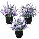 Betylifoy Künstliche Pflanzen mit Topf 3pcs Kunstpflanze Kleine Lavendel...