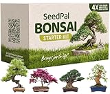 SeedPal Easy Bonsai Starter Kit - Bonsai Anzuchtset 4 versch. Bonsai Samen...