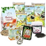 Dehner Natura Premium Wildvogelfutter, Futterbuffet Maxi, Ganzjahresfutter...