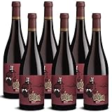 DELINAT – Las Cepas Gotaladrón 2020 – Spanischer Rotwein trocken –...