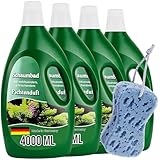 Schaumbad Badewanne Fichte 4 x 4L - Wellness Badezusatz mit...