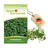 Gartenkresse Einfache Grüne Samen - Lepidium sativum - Gartenkressesamen -...