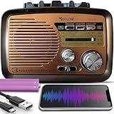 Retoo Radio Bluetooth FM Retro Nostalgie Radio Kofferradio Gehäuse in...