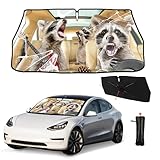 Edeeil Lustiger Waschbär-Auto-Regenschirm, Sonnenschutz, lustig, faltbar,...