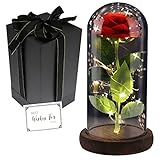 FAYODO Die Schöne und das Biest Ewige Rose, Rote Galaxie Rose Geschenk...