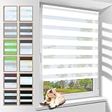 Zarnan Doppelrollo Klemmfix ohne Bohren Weiß 80x120cm(Stoffbreite 76cm)...