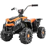 Actionbikes Motors Kinder Quad Elektro Bumblequad | Elektroauto -...