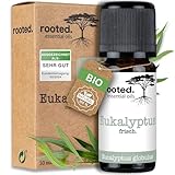 rooted.® BIO Eukalyptusöl [100% NATURREIN] - Echter Eukalyptus -...