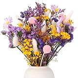 Xialvyu 30 Stück Trockenblumen Blumen, 7 Sorten EchteTrockenblumenstrauß...