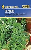 Kiepenkerl 352 Portulak Sommerportulak (Portulaksamen)