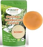 Original-Kombucha-Teepilz Premium Qualität + Bio Kombucha Getränk,...