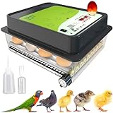 Okköbi OBI-36 Brutautomat für Hühner, Enten & andere Vögel + 36 Eier +...