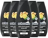 Schauma Anti-Schuppen Shampoo Intensiv (5x 400 ml), Haarshampoo beruhigt...