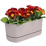 KONZEPT Blumenkasten klein für Balkon mit Untersetzer – 3L Balkonkasten...