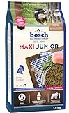 bosch HPC Maxi Junior | Hundetrockenfutter zur Aufzucht großer Rassen (ab...