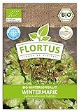 FLORTUS BIO Winterkopfsalat Wintermarie | Gemüsesamen | Salatsamen |...