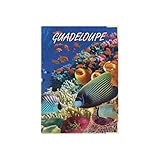 Color Pop® Guadeloupe Reisepasshülle – Französisches Produkt – aus...
