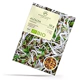 BIO Alfalfa Sprossen Samen 50g - Microgreens Saatgut ideal für die Anzucht...