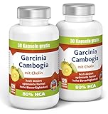 Garcinia Cambogia Sparangebot 2er Pack mit 80% HCA