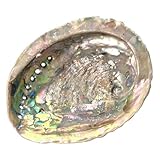 Große Abalone-Muschel (12-15cm) – Natürliche Räucherschale &...