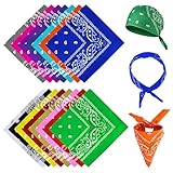 RISF 15 Stück Bandanas, 15 Farben Bandana Damen Herren, Polyester Paisley...