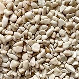 Steinteppich Epoxidharz Set Innen & Außen (ca. 28kg / 2-2,5m²) | 16...