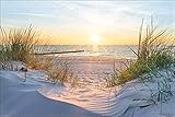 Muralo Fototapete Strand Meer Dünen Sonne Himmel Wasser Landschaft Natur...