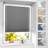 BelleMax Plissee ohne Bohren Verdunkelung, Thermo Plisseerollo Klemmfix,...