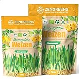 ZenGreens® - Bio Weizen Sprossen Samen in - Wähle zwischen 200g und 500g...
