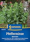 Kiepenkerl Pfefferminzsamen Spearmint 1056730 - Kaugummi-, Minze-, Tee-,...