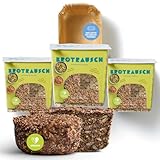 Brotrausch Paleo Brotbackmischung Brot 3er Pack | 3 x 400g inkl....