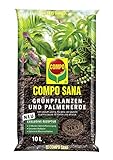 COMPO SANA Grünpflanzenerde und Palmenerde mit 12 Wochen Dünger für alle...