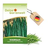 Schnittlauch Medium Leaf Samen - Allium schoenoprasum - Schnittlauchsamen -...