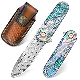 Zingbee Damast Taschenmesser Klappmesser, Hochwertig VG10 Damaststahl...