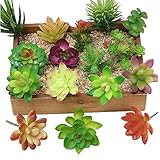 Kalolary 16 Stück Künstliche Sukkulenten Blumen Pflanzen, Mini Unpotted...