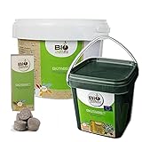 BioTabs - Bio Düngertabletten - 10 Tabletten