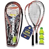 Best Sporting Power Badminton-Set I Federball-Set mit 2 Badminton-Schläger...