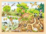goki 57582 - Einlegepuzzle Erlebnis Natur aus Holz, Holzpuzzle mit vielen...