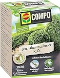 COMPO Buchsbaumzünsler K.O. - Insektizid - schnelle Hilfe bei Schädlingen...