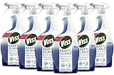 Viss VISS Reinigungsspray Bad & Dusche für strahlenden Glanz 100%...
