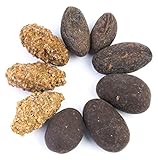 Bio Kakaobohnen Variation Edelmond: geröstet + zartbitter umhüllt +...